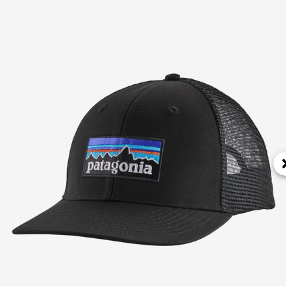 Patagonia SnapBack